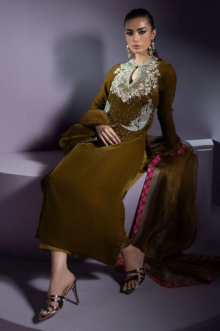 Roccoco - Zeb & Zeeshan -  Velvet Suit - raniazara