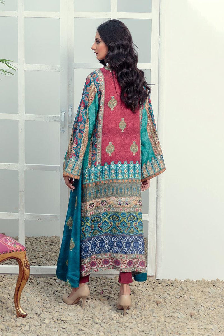 VG - 6 - shameel  Ansari - Pret - raniazara