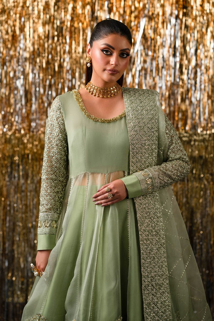 Shaula - Waniya by Mehr Azam - Party Wear Dress - raniazara