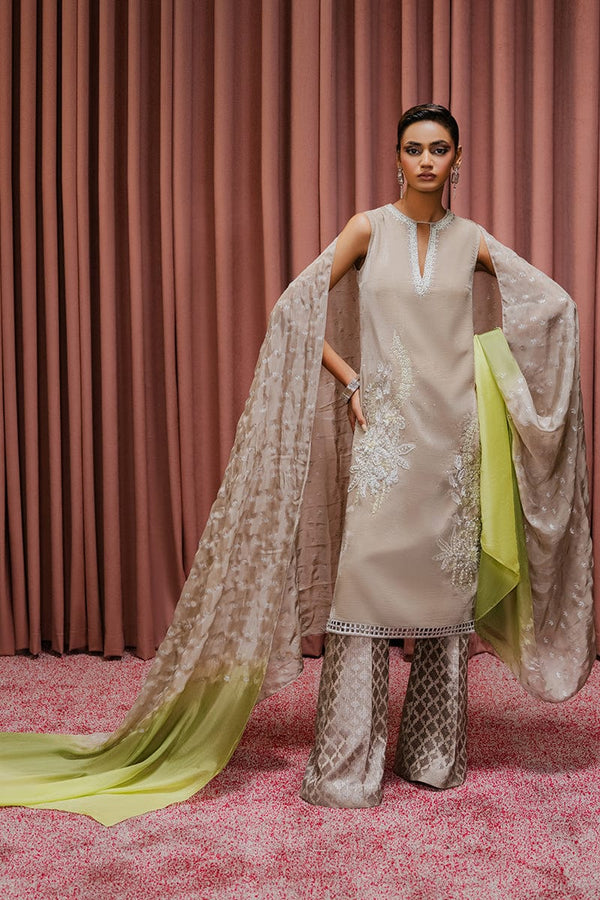 Succulent - Zeb & Zeeshan - Velvet Suit - raniazara
