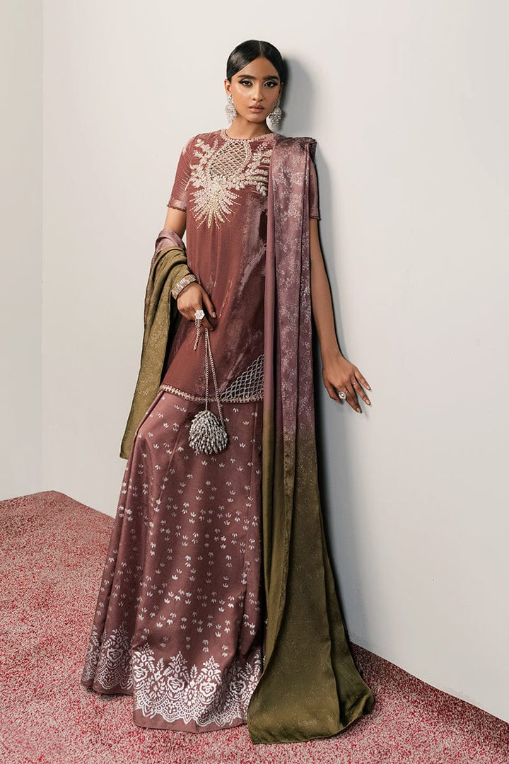 Seductress - Zeb & Zeeshan - Velvet Suit - raniazara