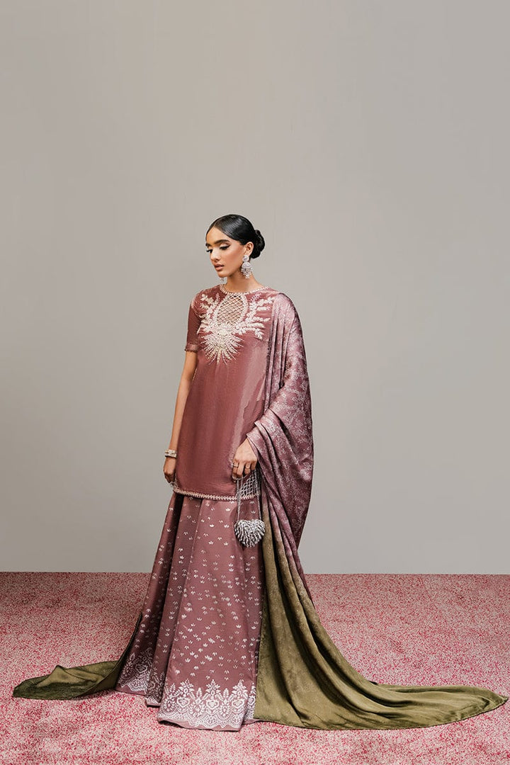 Seductress - Zeb & Zeeshan - Velvet Suit - raniazara