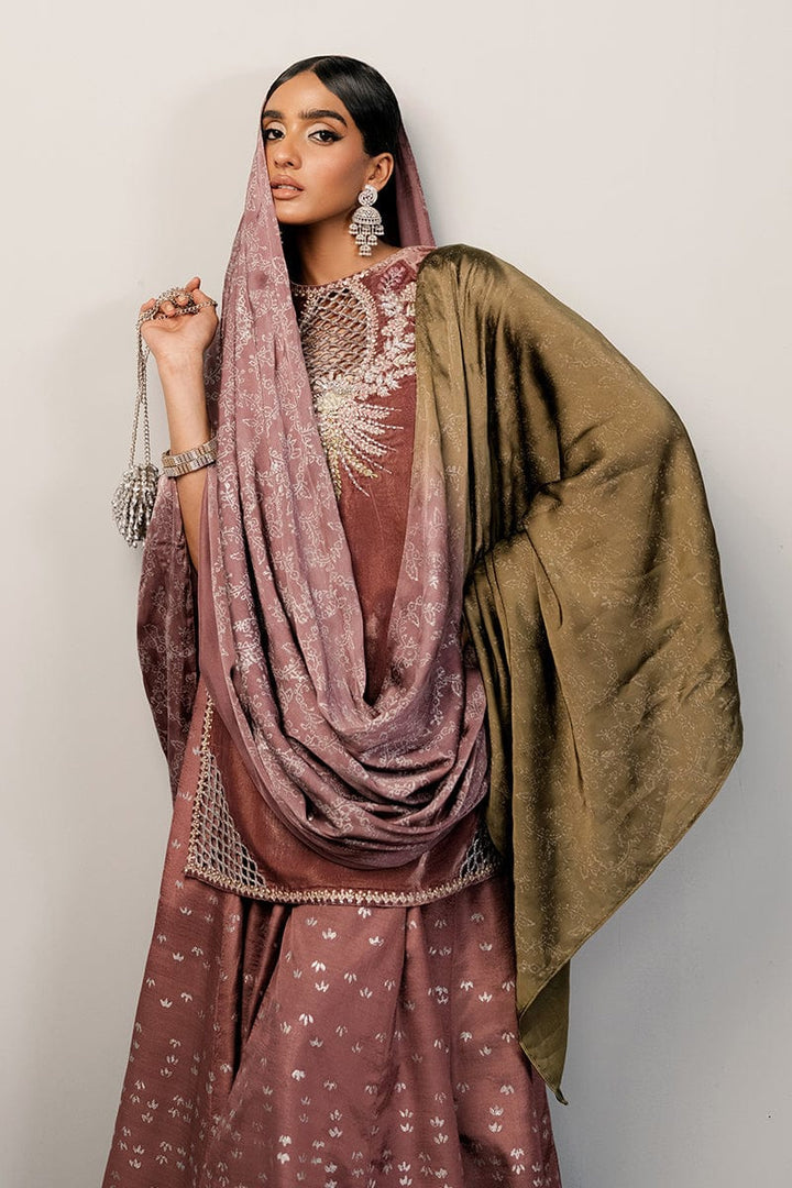 Seductress - Zeb & Zeeshan - Velvet Suit - raniazara