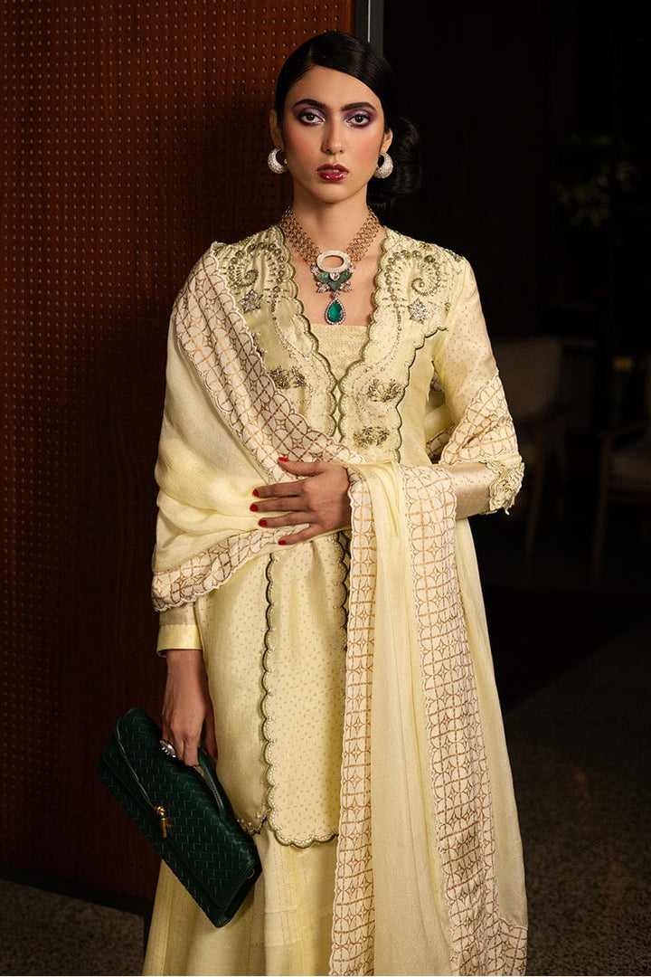 Limelight Highlight - Zeb & Zeeshan - Casual Wear  