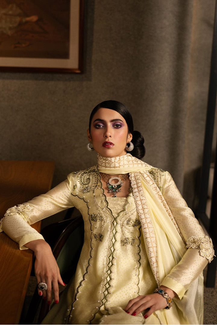 Limelight Highlight - Zeb & Zeeshan - Casual Wear  