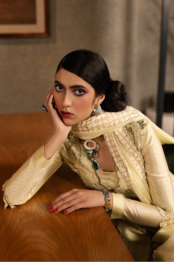 Limelight Highlight - Zeb & Zeeshan - Casual Wear  