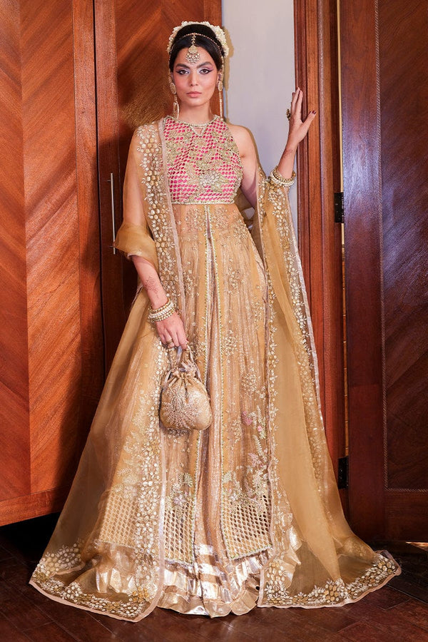 Gold Raani - zeb & Zeeshan