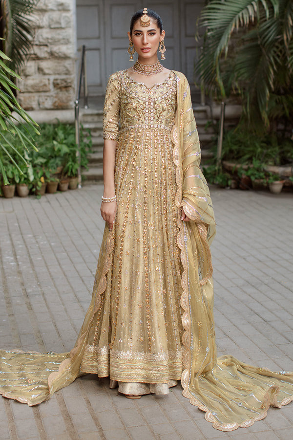 Zonya Kalidar -  Annus Abrar - Formal