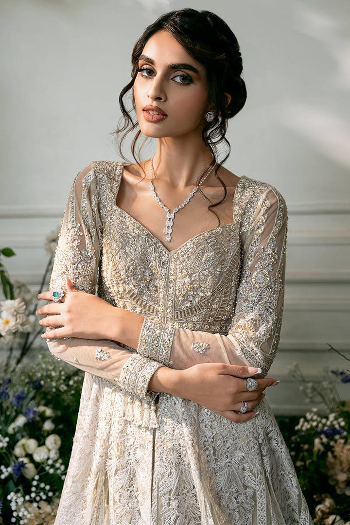 GREY RANIA -  Zainab Salman - Party Wear Dress - raniazara