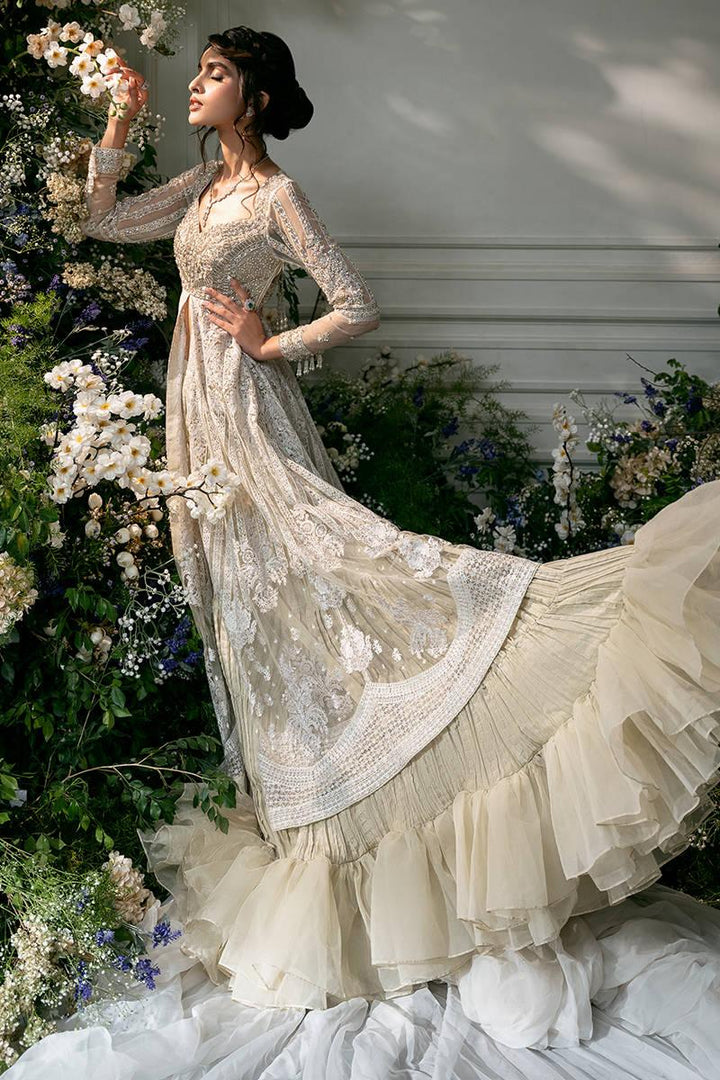GREY RANIA -  Zainab Salman - Party Wear Dress - raniazara