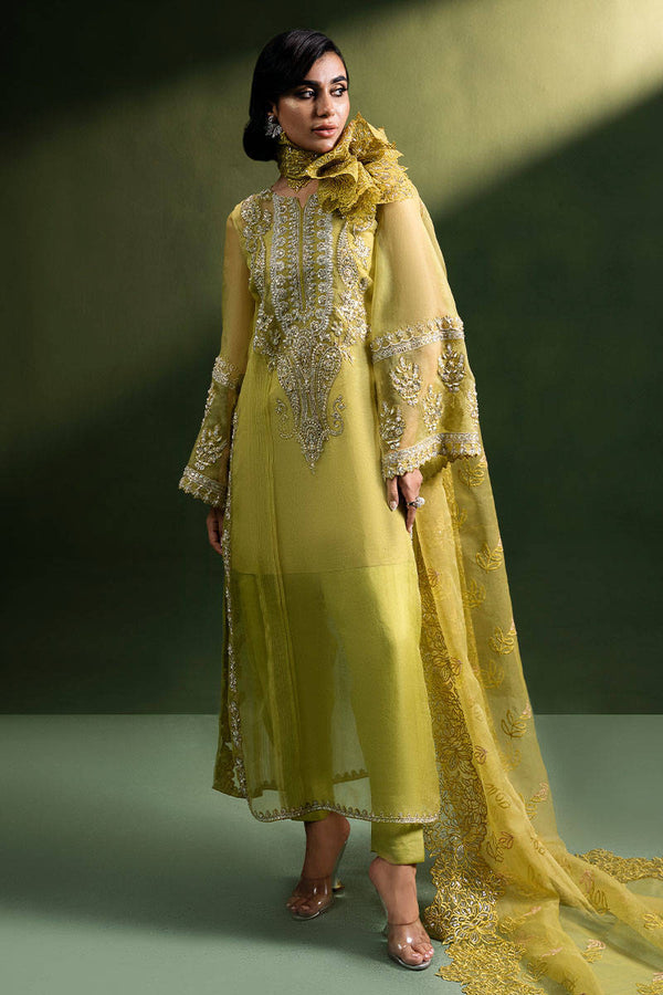Olive Tuscun - ZAINAB SALMAN - Casual Wear - Pret - raniazara