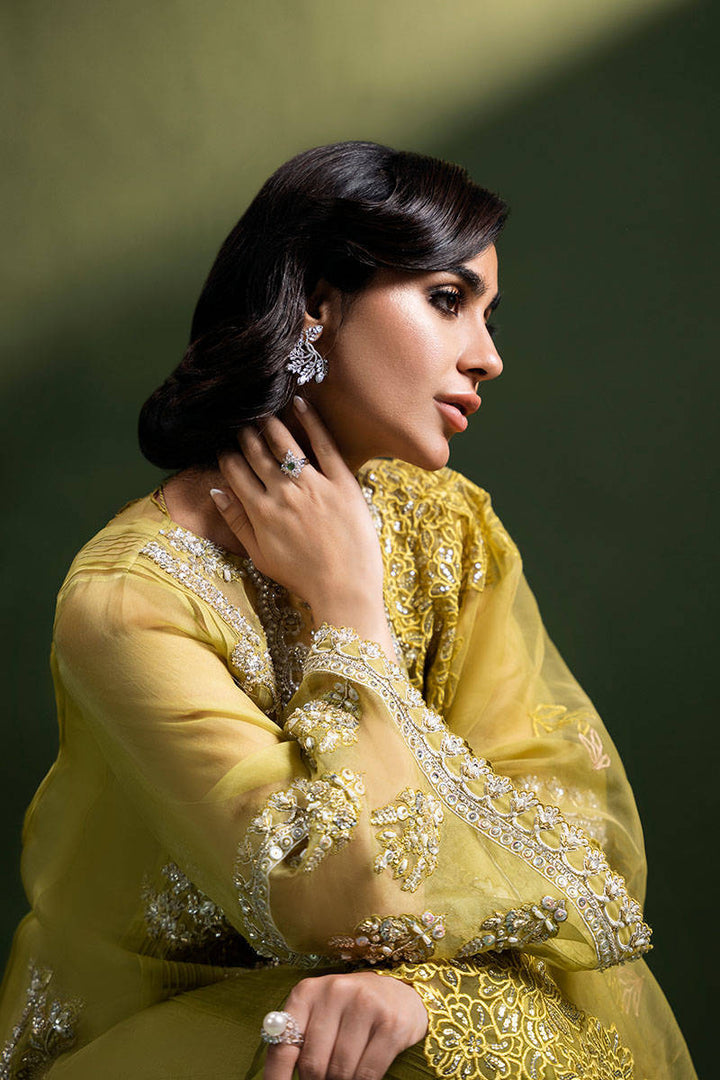 Olive Tuscun - ZAINAB SALMAN - Casual Wear - Pret - raniazara