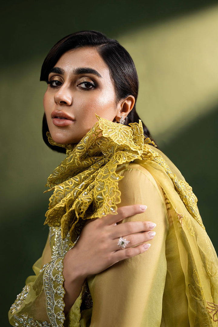 Olive Tuscun - ZAINAB SALMAN - Casual Wear - Pret - raniazara
