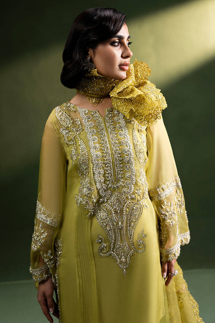 Olive Tuscun - ZAINAB SALMAN - Casual Wear - Pret - raniazara