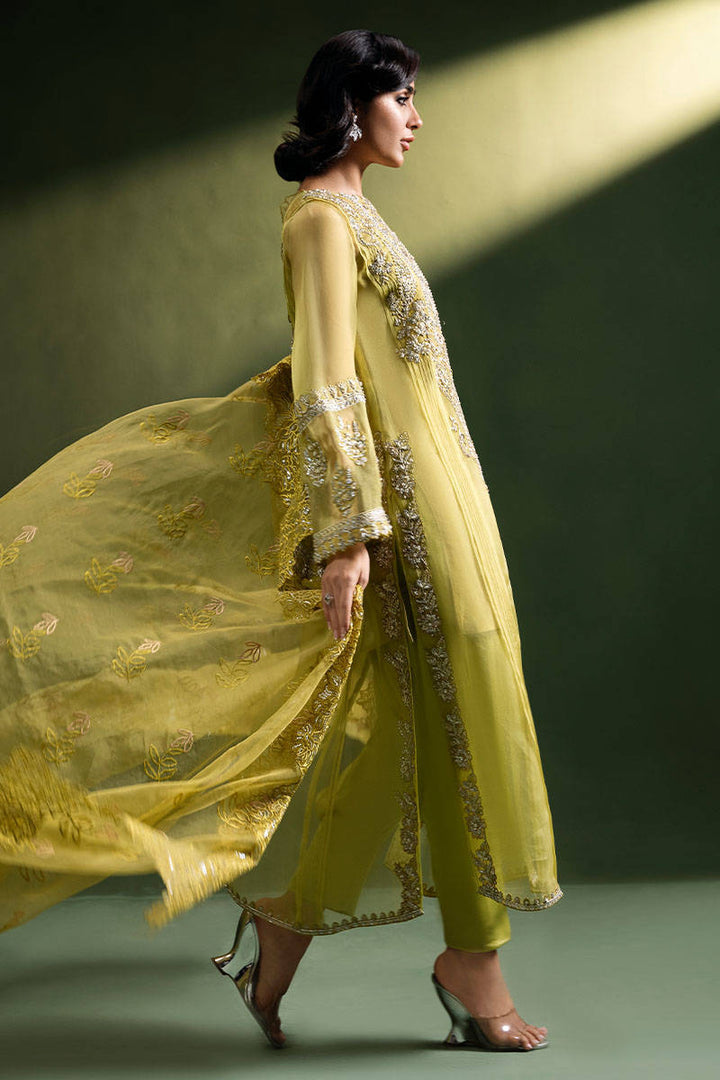 Olive Tuscun - ZAINAB SALMAN - Casual Wear - Pret - raniazara