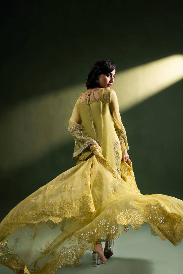 Olive Tuscun - ZAINAB SALMAN - Casual Wear - Pret - raniazara