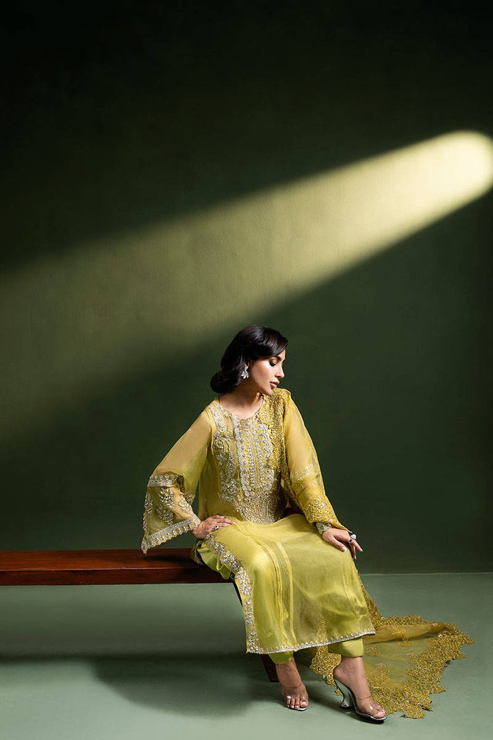 Olive Tuscun - ZAINAB SALMAN - Casual Wear - Pret - raniazara