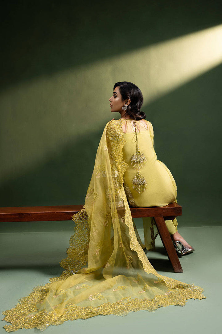 Olive Tuscun - ZAINAB SALMAN - Casual Wear - Pret - raniazara