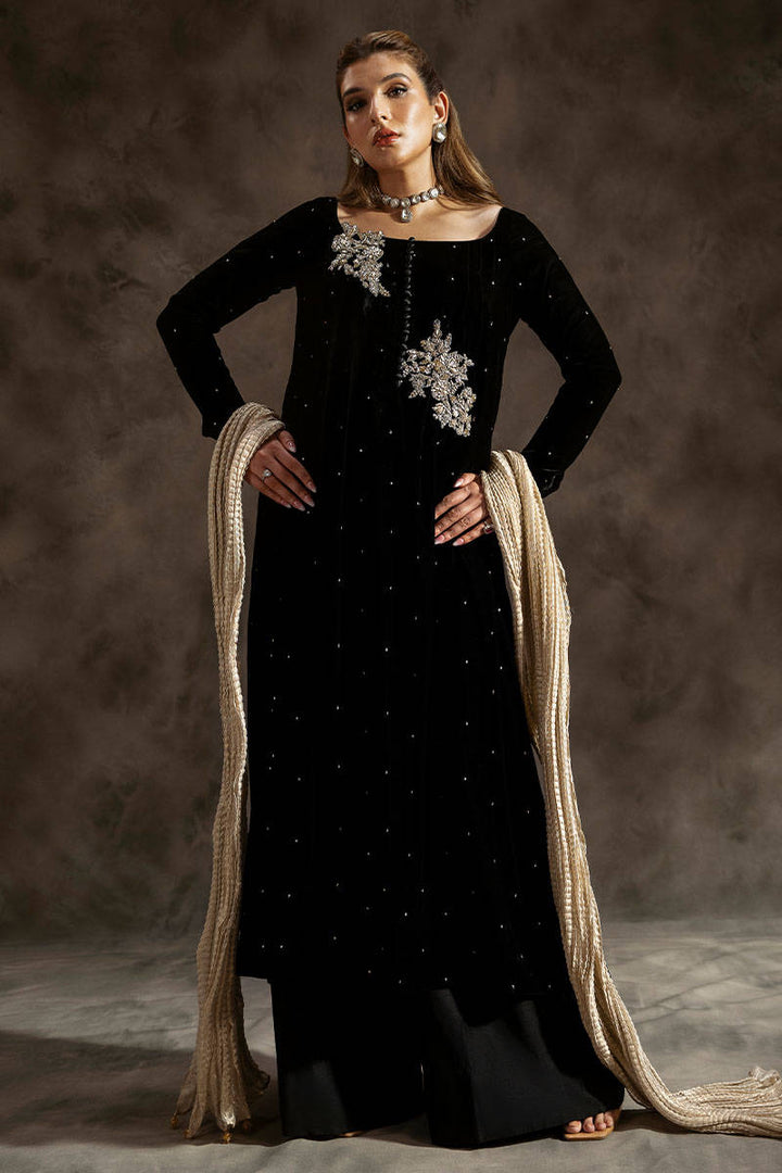 Peacock Charm - Zainab Salman - velvet Suit - raniazara