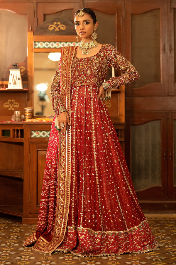 Maya Kalidaar -  Annus Abrar - Formal