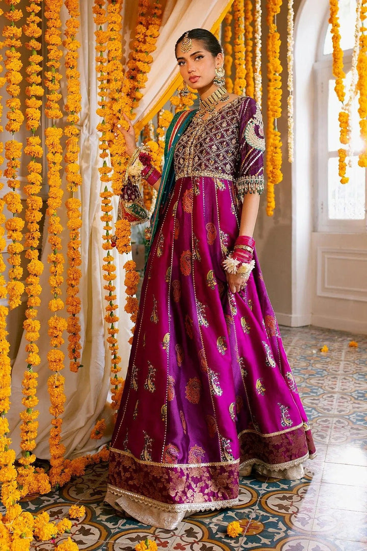Shehzana Kalidar - Annus Abrar - Mehndi - raniazara