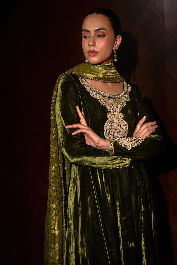 Harley - Ansab Jahangir - Velvet Suit - raniazara