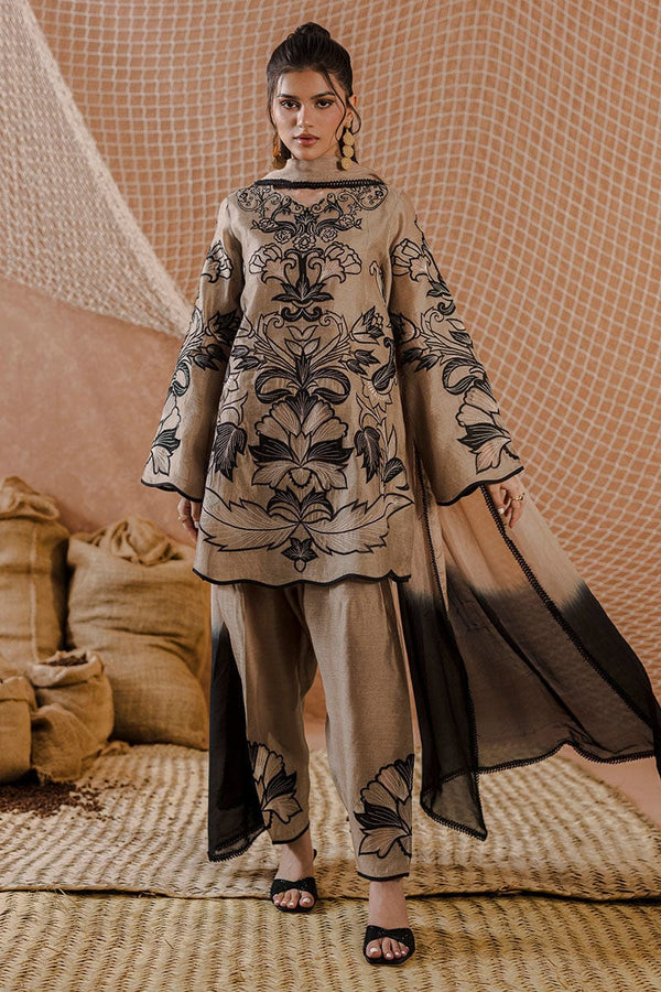 Amrisa - Ansab Jahangir