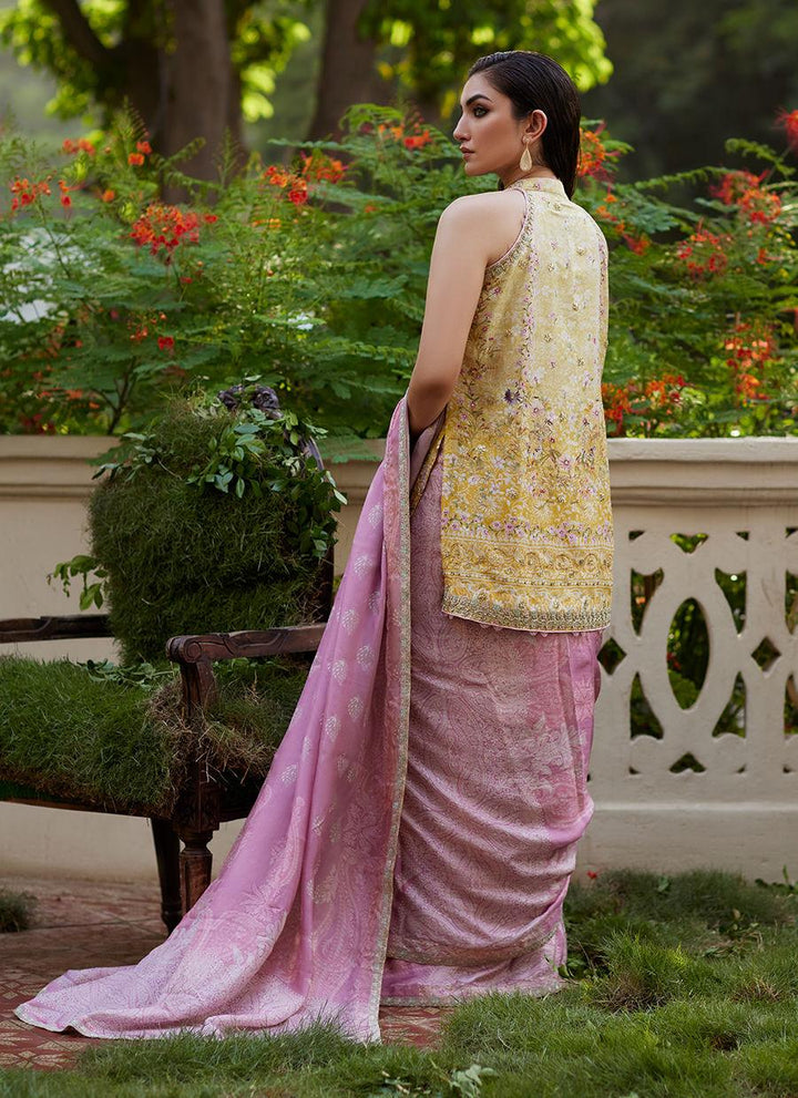 Iqala Saree, Blouse And Jacket - Farah Talib Aziz - Pakistani Saree - Pret - raniazara