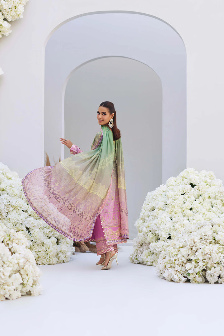 Leila - Mina Hasan - Party Wear Dress - raniazara