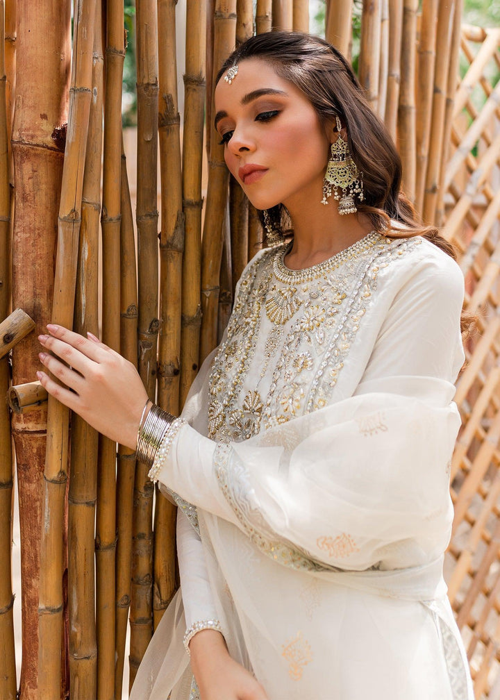 Zarin raniazarastudio