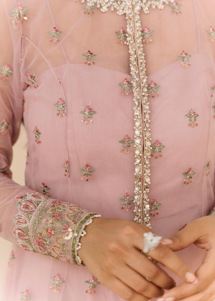 Blush Rose raniazarastudio