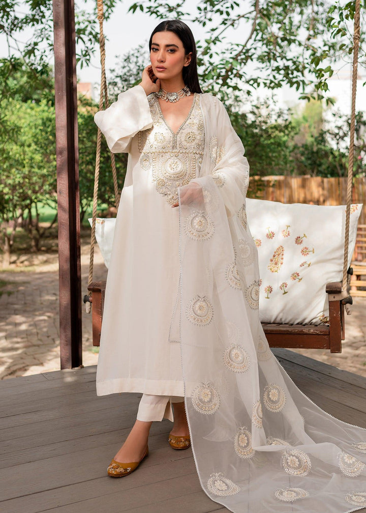 Nysa raniazarastudio