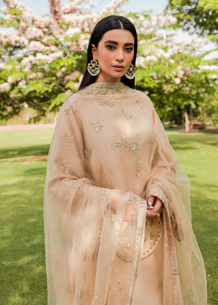 Freya raniazarastudio