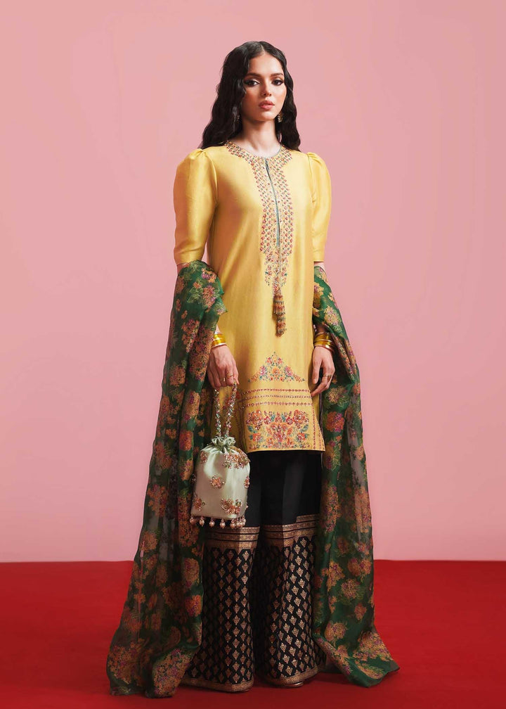 marigold - Hussain Rehar