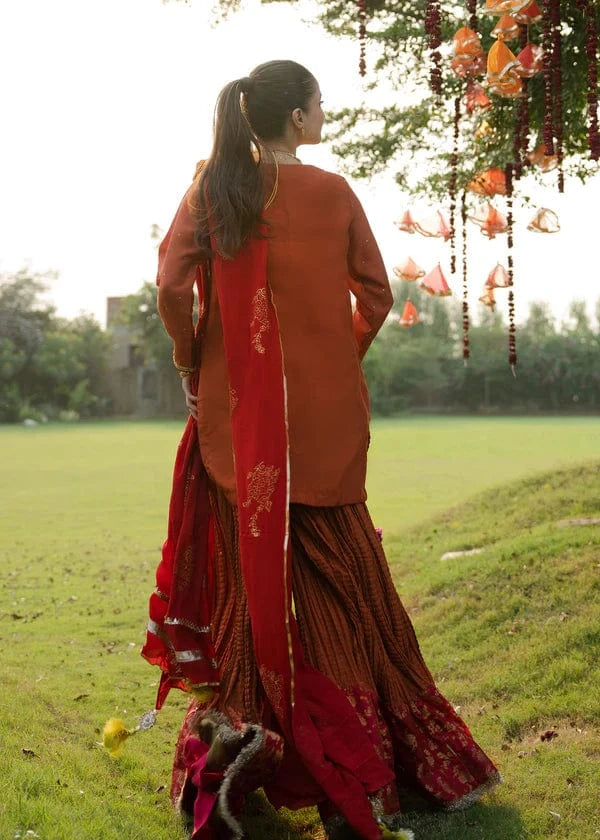 Maya - Souchaj - Sharara Suit - raniazara