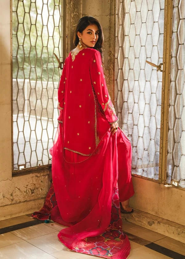 Parishay - Souchaj - Velvet Suit - raniazara