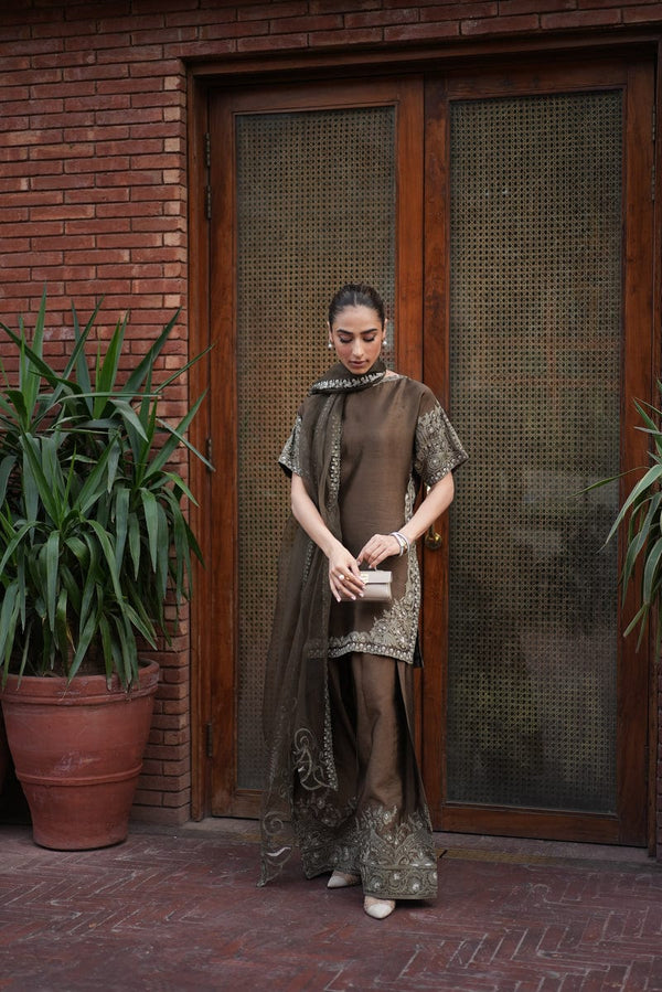 Dasht-e-Zaitoon - shahnaz anis