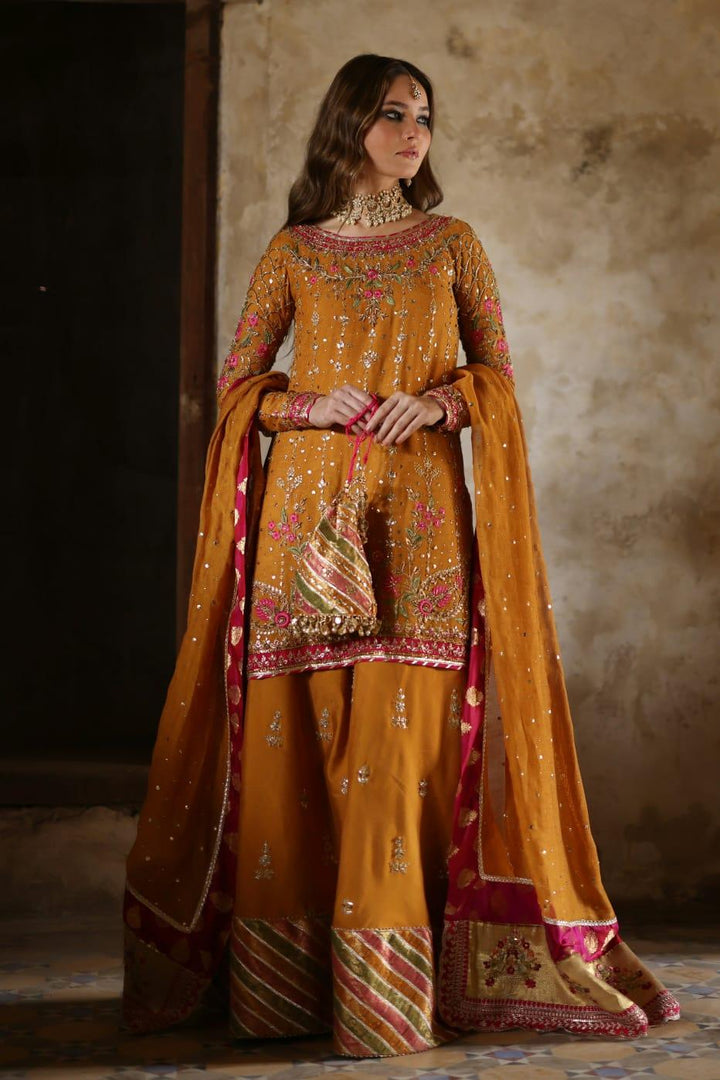 MHC-1087- Mina Hasan - Mehndi - raniazara