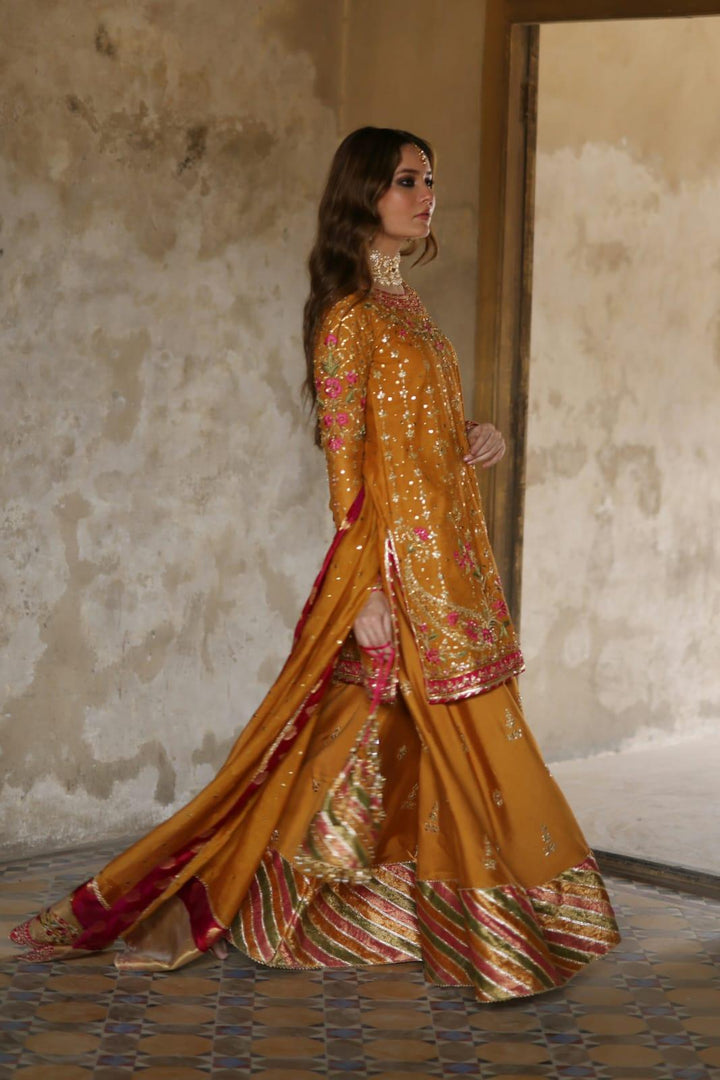 MHC-1087- Mina Hasan - Mehndi - raniazara