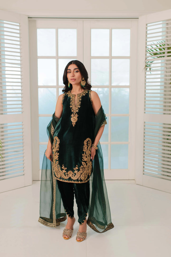 MHLP-1313 - Mina Hasan - Velvet Dress - raniazara