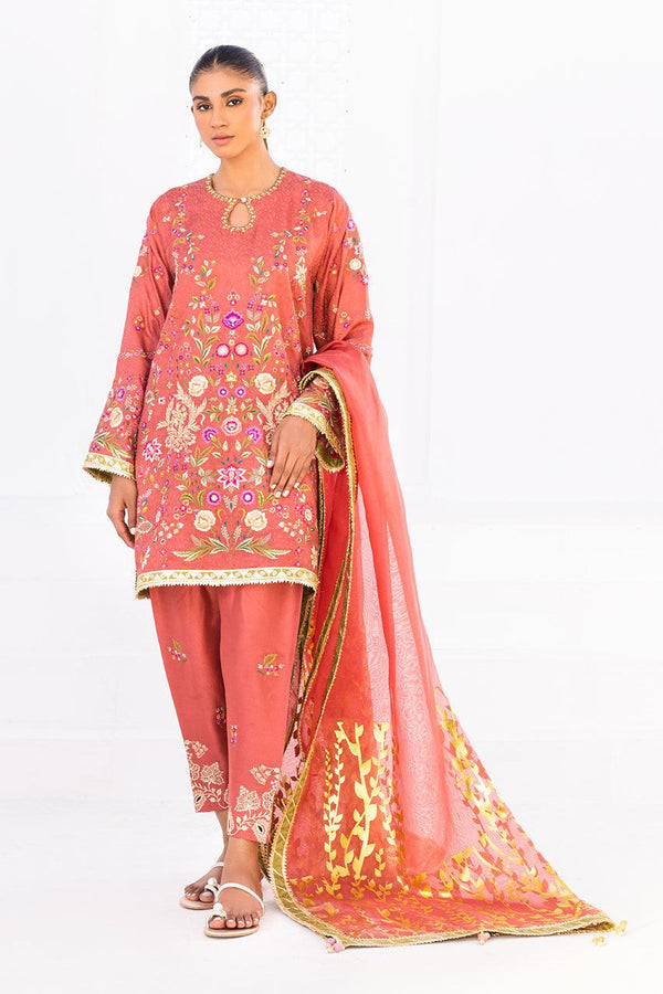 Rijaan raniazarastudio