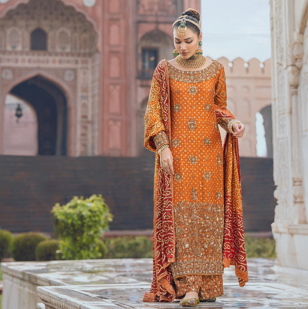 Aida x Zebunisa - Haris Shakeel - Formal - raniazara