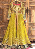DHAANI-PESHWAS