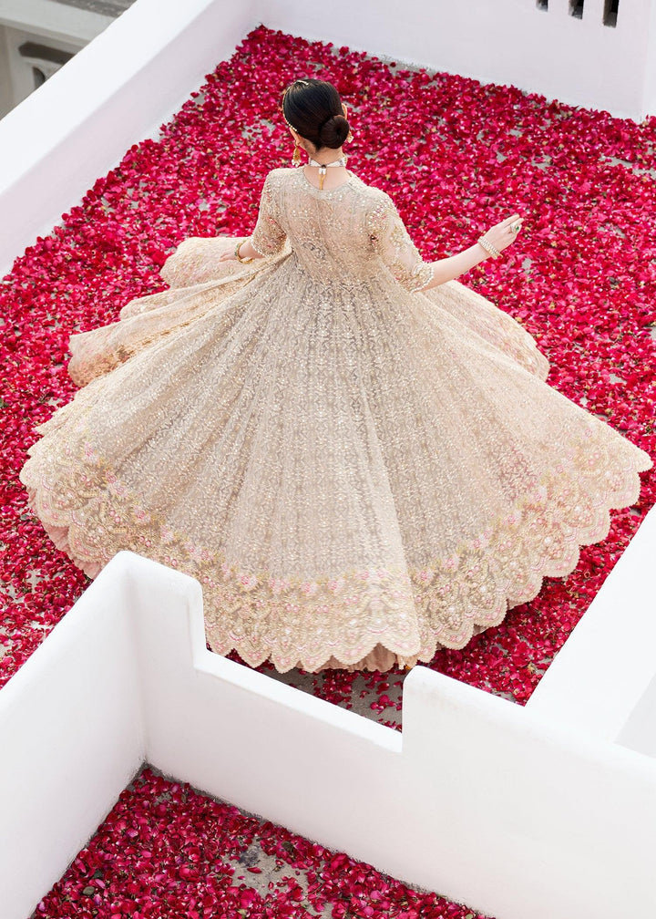 Layla raniazarastudio