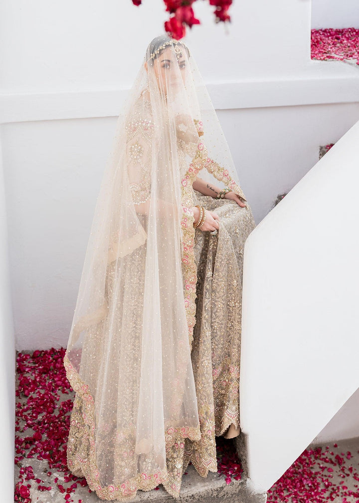 Layla raniazarastudio