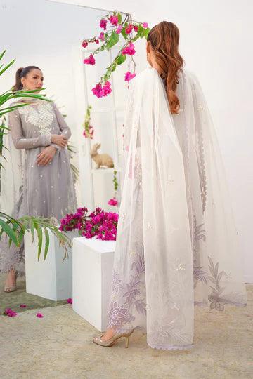 Zimmel raniazarastudio