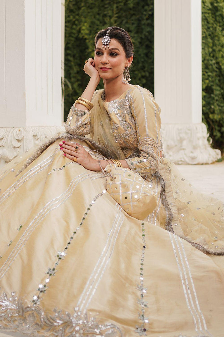 Mahzaib raniazarastudio